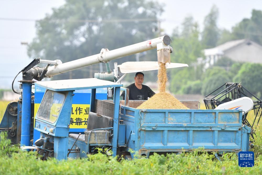 线上赌牌游戏开户